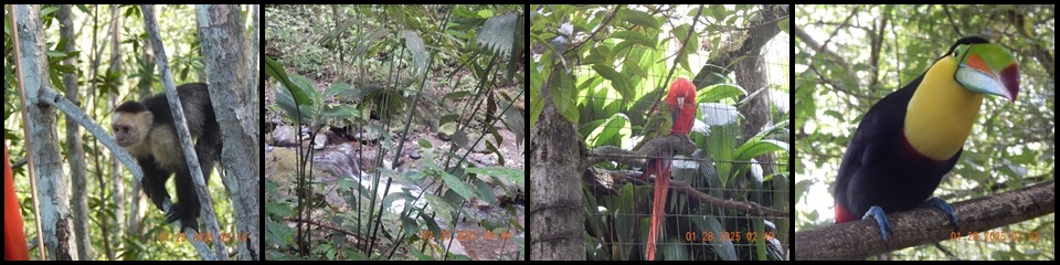 Adventures in Central America